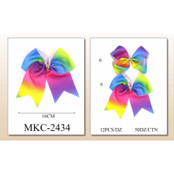 Large Rainbow Ombre Bow