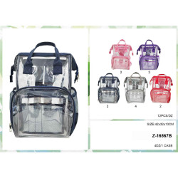 Backpacks - Clear with color details