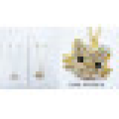 Hello Kitty Bling Necklace with Rhinestone Earrings